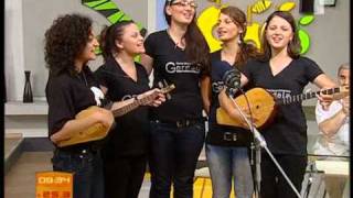 თსუ "გორდელა"_tsu "GORDELA"