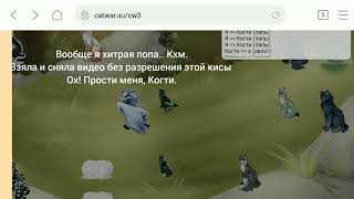 CATWAR||ТРЕНИРОВКИ||ДЕРЕВНЯ