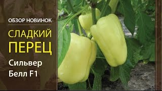 Обзор новинок. Сладкий перец. Сильвер Белл F1