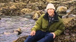Ray Mears'  Extreme  Survival S03E03 - Alaska