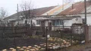 Усадьба Макарова в Бекове Пензенской области