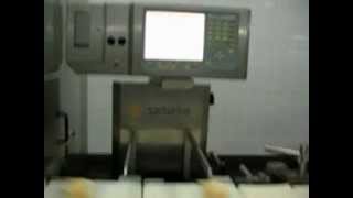 Чеквейеры, Конвейерные весы Sartorius