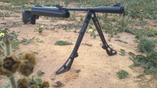 Hatsan 125 - 75kg gas ram (nitro)
