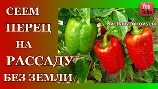 ПОСЕВ СЕМЯН ПЕРЦА БЕЗ ЗЕМЛИ НА РАССАДУ.СЕКРЕТ БЫСТРОГО ПРОРАСТАНИЯ СЕМЯН
