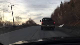 Moose blocks traffic