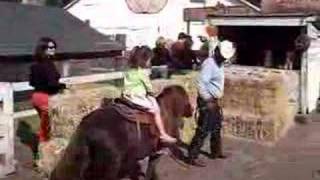 Pony Ride