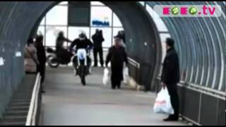 Байкеры: субкультура или беспредел на дороге?