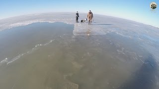 Семечки на Кременчугском водохранилище...bogomaz05
