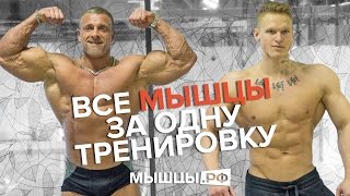 Тонизирующая тренировка на все мышцы. Линдовер-Дмитряев