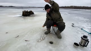 РЫБАЛКА В ХМЕЛЕВКЕ НА ВОЛГЕ В ЗАТОНАХ. Отвели душу и испытали мотособаку Барс