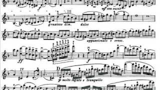 Wieniawski, Henryk mvt1 2nd violin concerto op.22 Allegro moderato