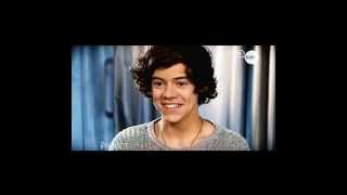 Enamorada de mi mejor amigo Novela Harry Styles y Tu.