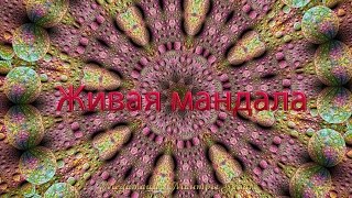 Музыка релакс очень красивая.  Живая мандала и музыка релакс.