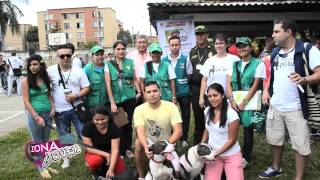 Zona Joven en el Encuentro Pitbulero Cali 2013