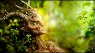 TES V: Skyrim - Смена настроек, пола, расы и имени персонажа