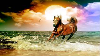 Some of the best melodic dubstep, chillstep songs Vol 4 2013