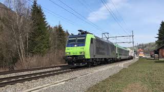 Trains on the Lötschberg April 2019 Part 2