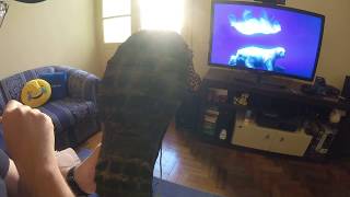 Review bota Arpenaz 50 Mid Quechua - Decathlon