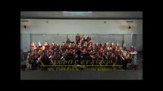 Banda Musicale "Francesco Curcio" - SERENITÀ - Marcia Sinfonica ( F. Curcio - rev. F. Di Rende)