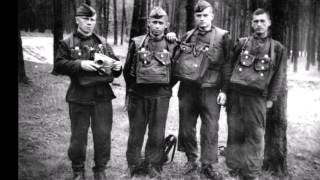 Владимир Конюхов,Кёнигсбрюк
