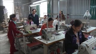 Tin tức 24h: Hải Dương tạo việc làm cho người khuyết tật