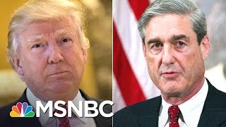 Lawrence On President Donald Trump, Robert Mueller And 'Subject' V. 'Target' | The Last Word | MSNBC