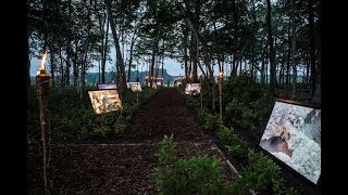 "ICE" video installation, Watermill Center, NY, 2016