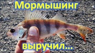Мормышинг весной, окунь....уход от нуля
