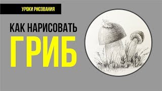 Как нарисовать гриб. Рисунок простым карандашом