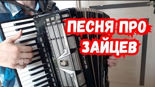 Песня про зайцев на Аккордеоне/ А нам все равно под Гармошку