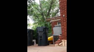 Abusive Ex-Girlfriend Hitting Me With Her Car