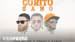 Tempo X Miky Woodz & Randy - Corito Sano [Official Audio]