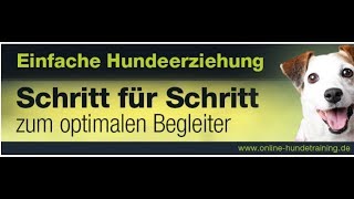 Hundetraining # Hundeerziehung # Hund bellt # Hund an der Leine # Online Kurs unter dem Video