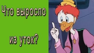 Забой уток.  Что выросло из уток?