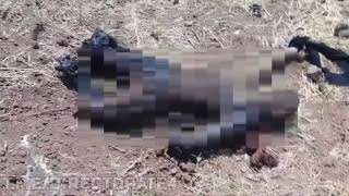 Пилот сирийского самолёта, сбитого Израилем, погиб — страшные кадры18+