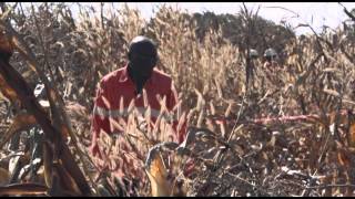Kinsevere: Beyond Mining