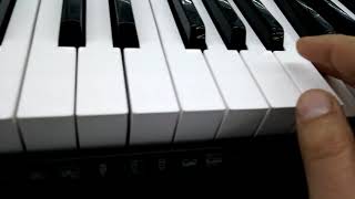 Играю Цып-цып-цып, мои цыплятки, на Casio WK-6600.