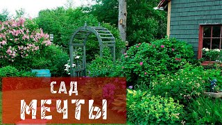 Сад Ольги Тарасовой