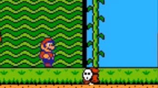 Bugs/Glitches de Otras Consolas: Hoy, Super Mario Bros. 2 (NES)