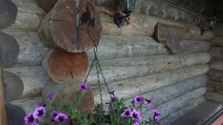 Аминьевские Бани
