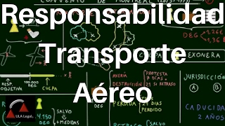 Responsabilidad por Transporte Aéreo Internacional