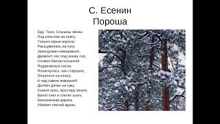 Как быстро выучить стих ПОРОША С. А. Есенин