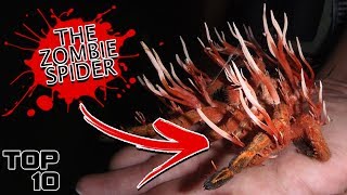 Top 10 Scary Science Facts That You Weren’t Taught In School