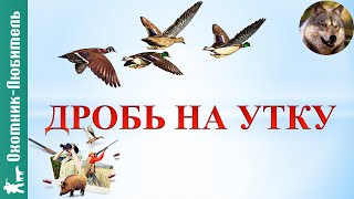 Дробь на утку! ДЛЯ ЛЮБЫХ СИТУАЦИЙ