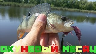 Целый месяц на рыбалке!!!Rig JIG.../Ловля окуней на реке Челбас