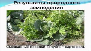 Практика природного земледелия