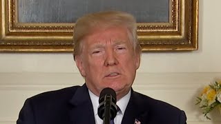 President Trump announces air strikes on Syria