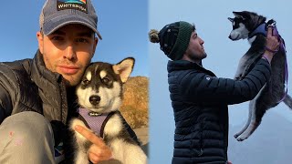 The Last Days with My Puppy
