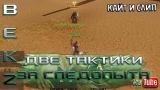 ArcheAge 1.7: Две тактики за Следопыта.