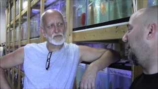 DISCUS HANS INTERVIEW PART 1 Fish house tour, introduce Hans.